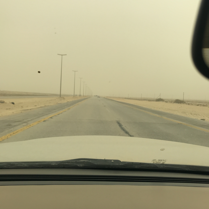 مشاركاتي في أنت الراصد