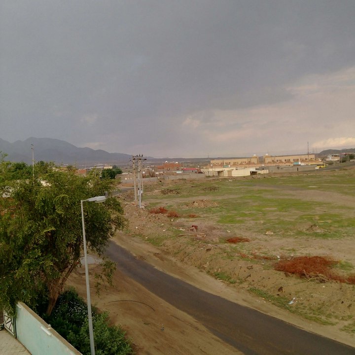 مشاركاتي في أنت الراصد