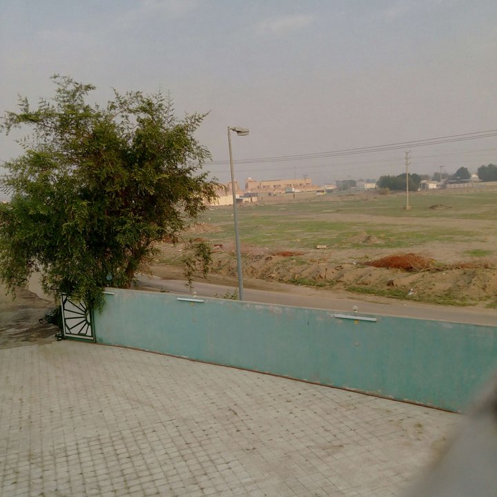 مشاركاتي في أنت الراصد