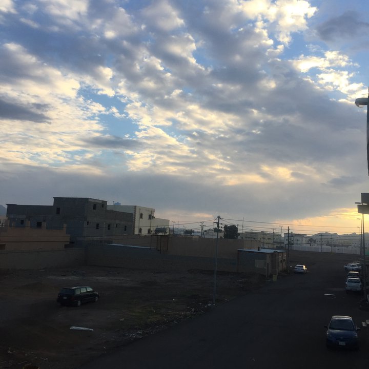 مشاركاتي في أنت الراصد