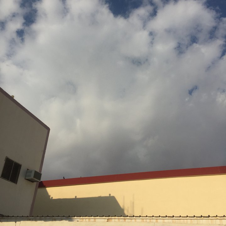 مشاركاتي في أنت الراصد