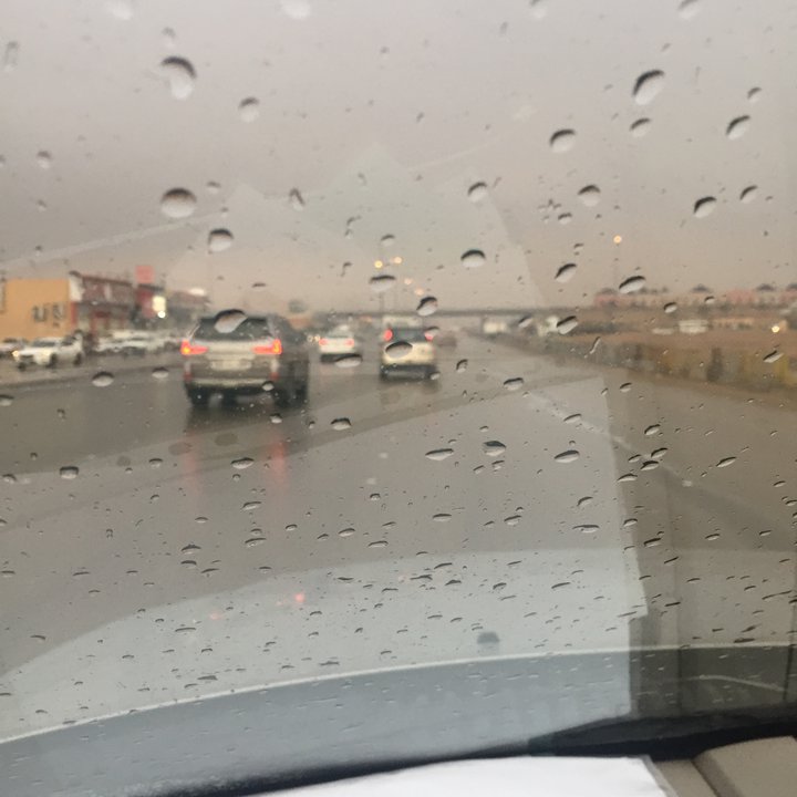 مشاركاتي في أنت الراصد