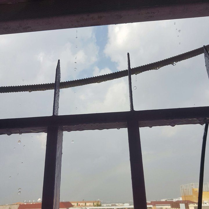 مشاركاتي في أنت الراصد