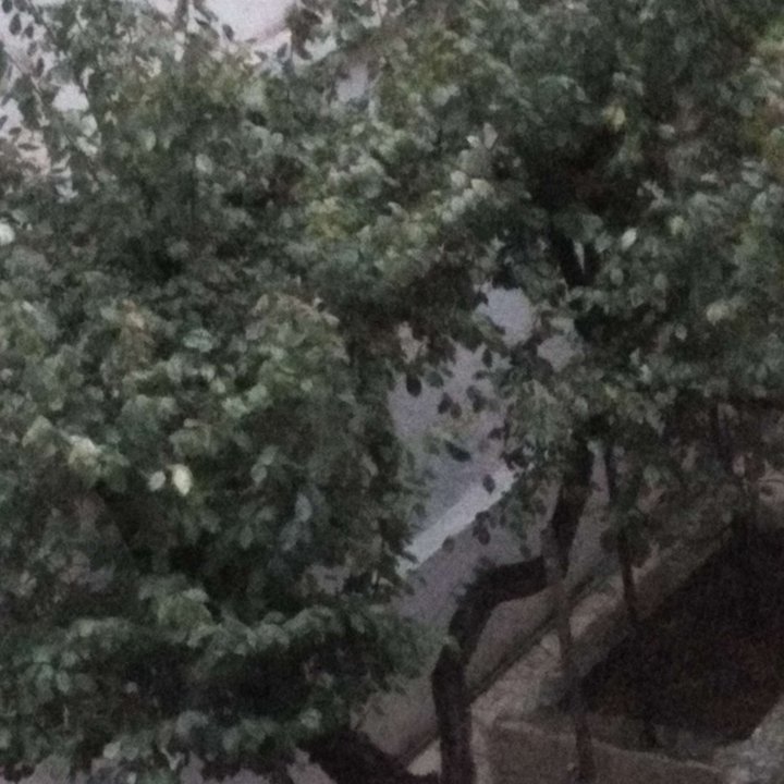 My Crowdsourcing Posts