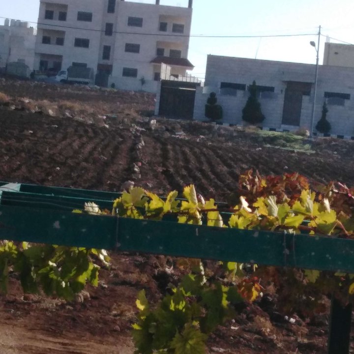 My Crowdsourcing Posts