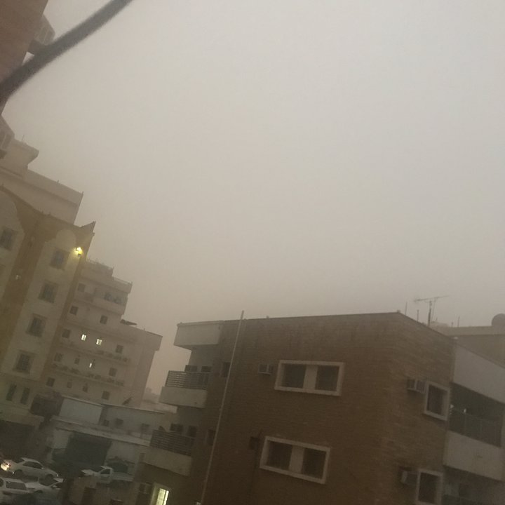 مشاركاتي في أنت الراصد