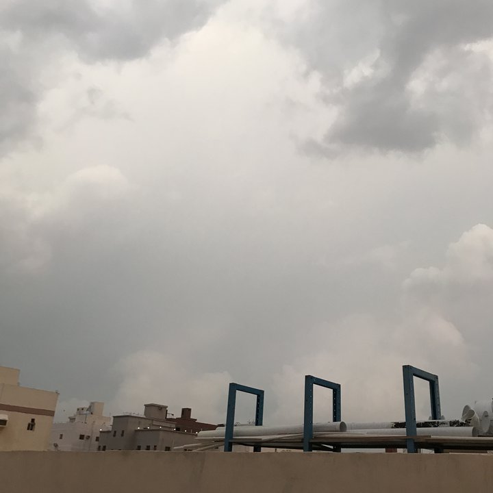 مشاركاتي في أنت الراصد