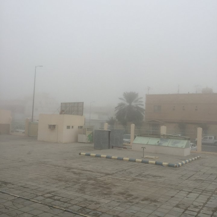 مشاركاتي في أنت الراصد