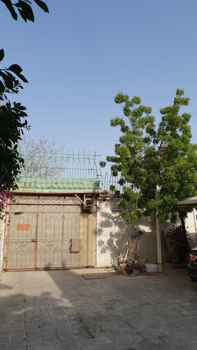 مشاركاتي في أنت الراصد