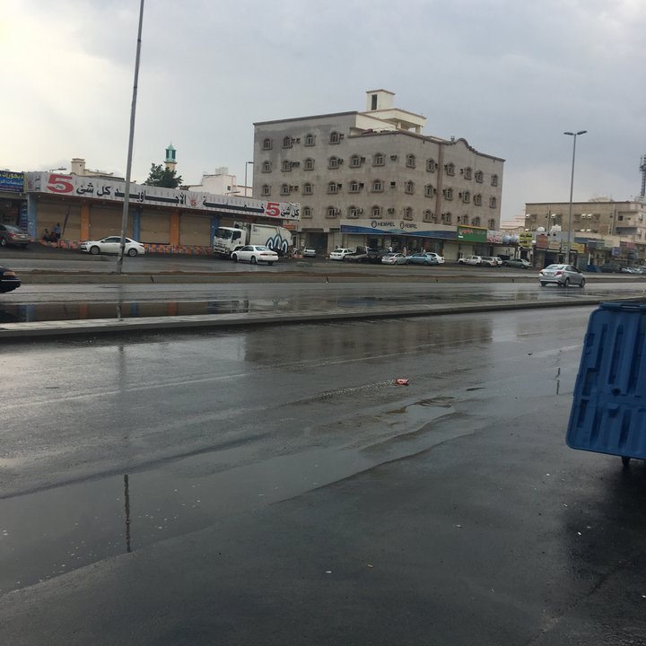 مشاركاتي في أنت الراصد