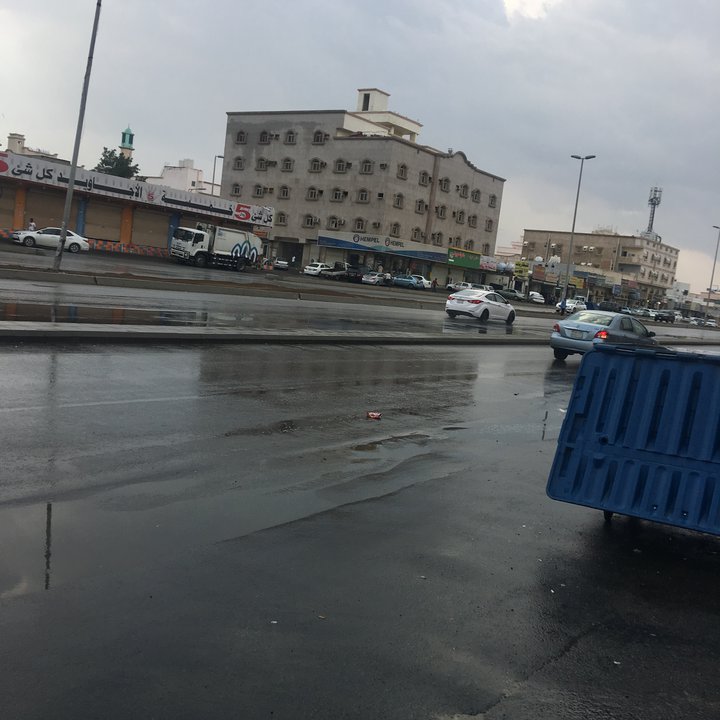 مشاركاتي في أنت الراصد