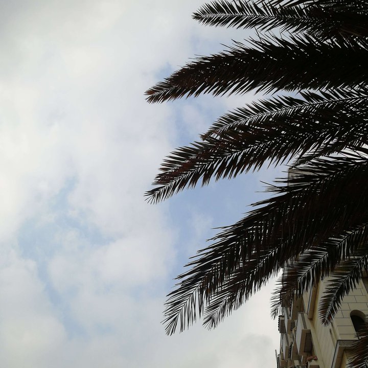 مشاركاتي في أنت الراصد