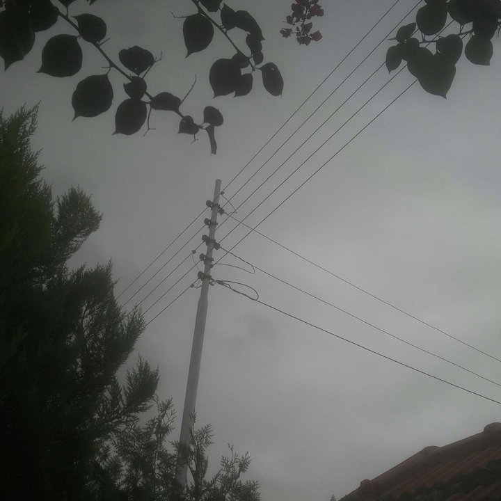 My Crowdsourcing Posts