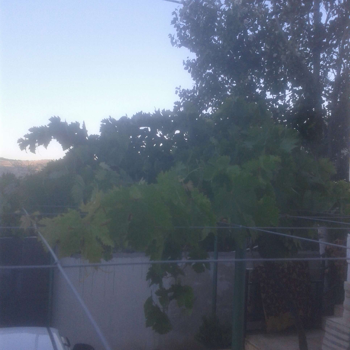 My Crowdsourcing Posts