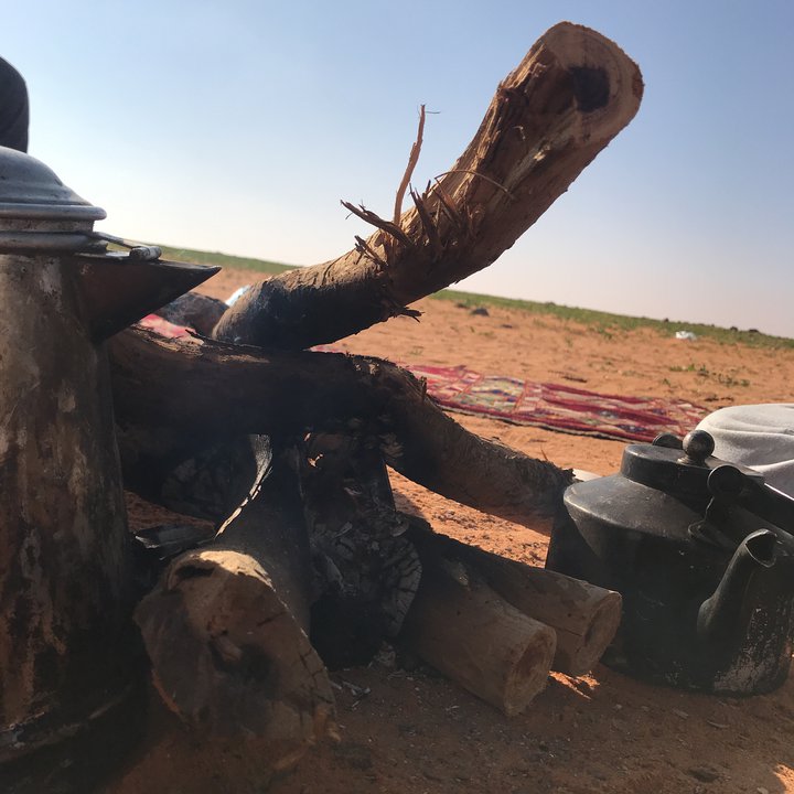 مشاركاتي في أنت الراصد