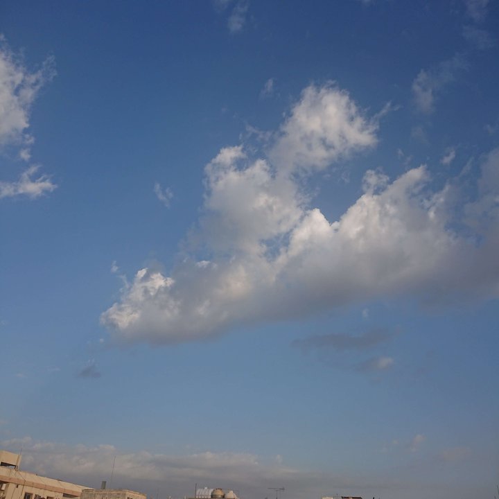 مشاركاتي في أنت الراصد