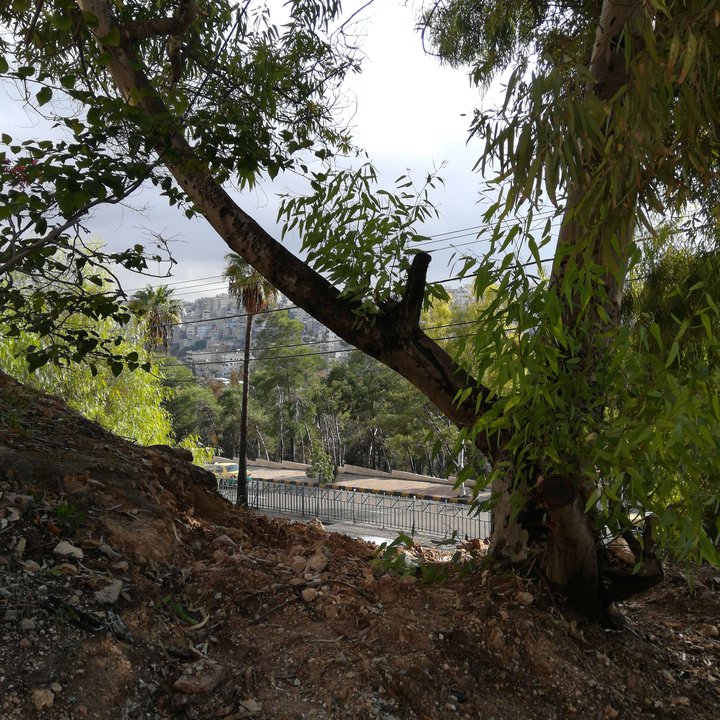 My Crowdsourcing Posts