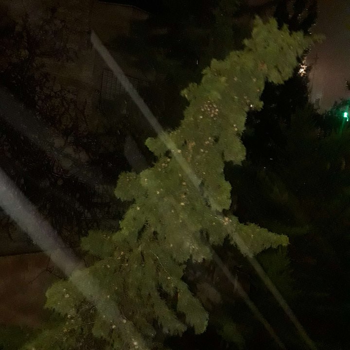 My Crowdsourcing Posts