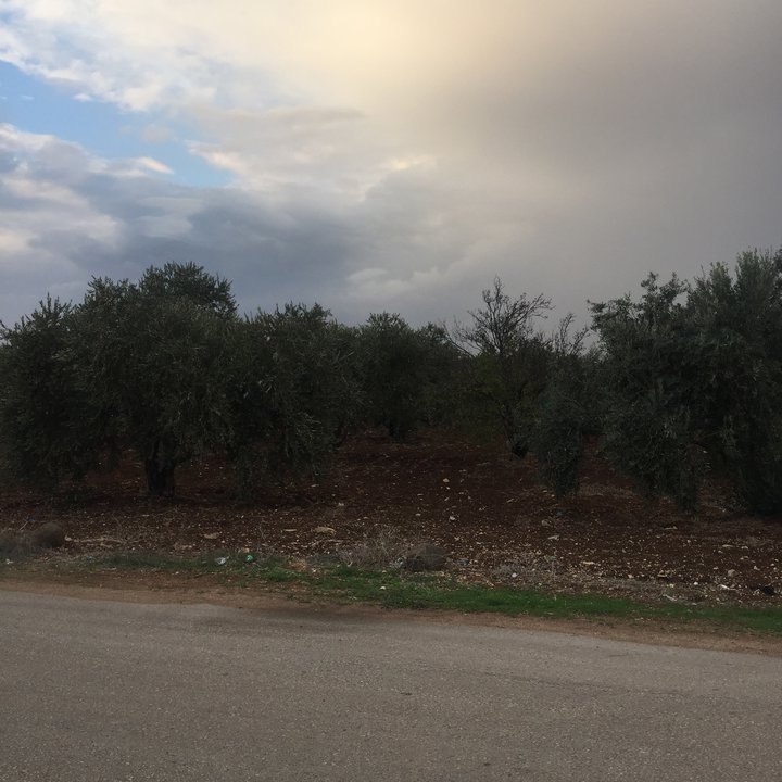 My Crowdsourcing Posts