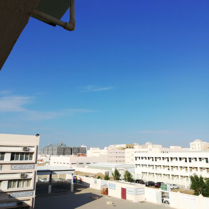 مشاركاتي في أنت الراصد