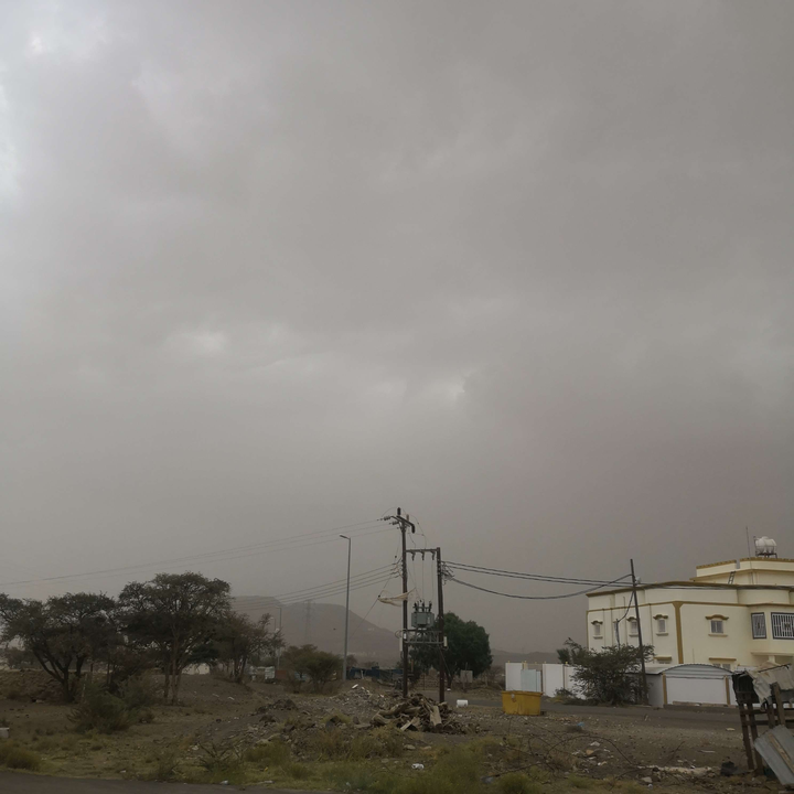 مشاركاتي في أنت الراصد