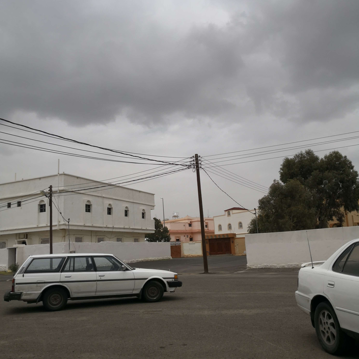 مشاركاتي في أنت الراصد