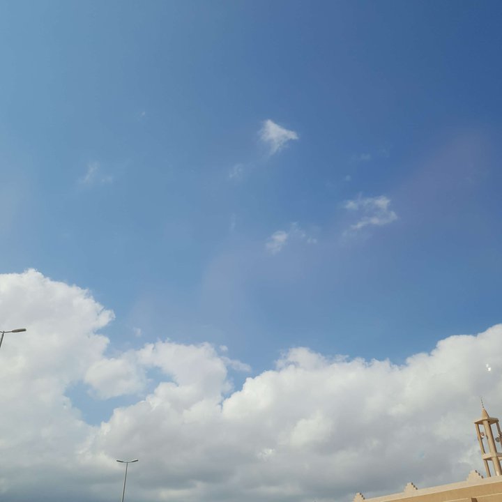 مشاركاتي في أنت الراصد