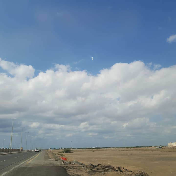 مشاركاتي في أنت الراصد