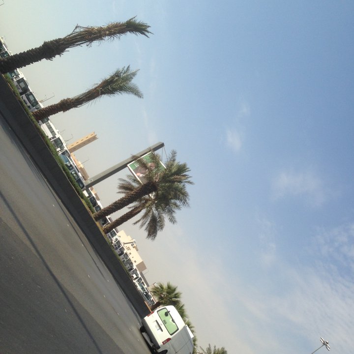 مشاركاتي في أنت الراصد