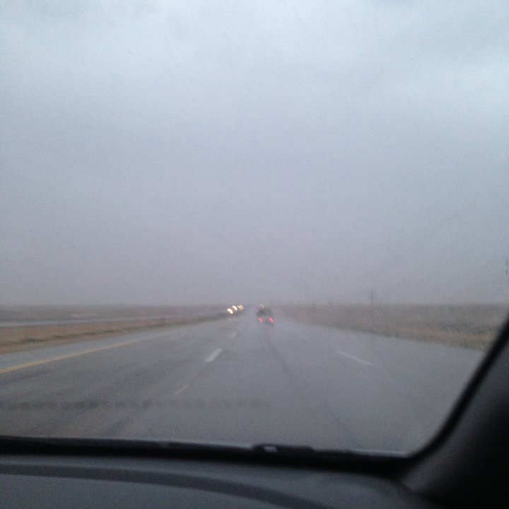 مشاركاتي في أنت الراصد