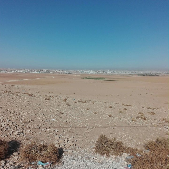 My Crowdsourcing Posts