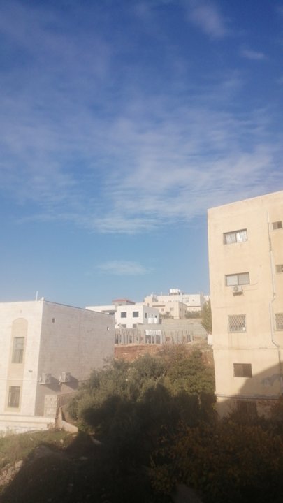 مشاركاتي في أنت الراصد