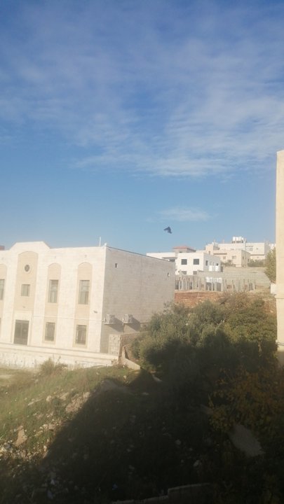 مشاركاتي في أنت الراصد