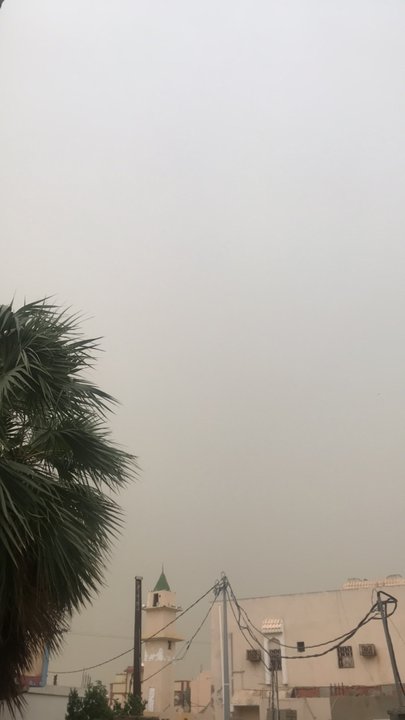 مشاركاتي في أنت الراصد