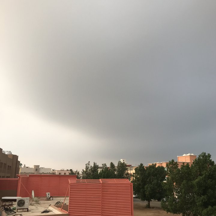 مشاركاتي في أنت الراصد