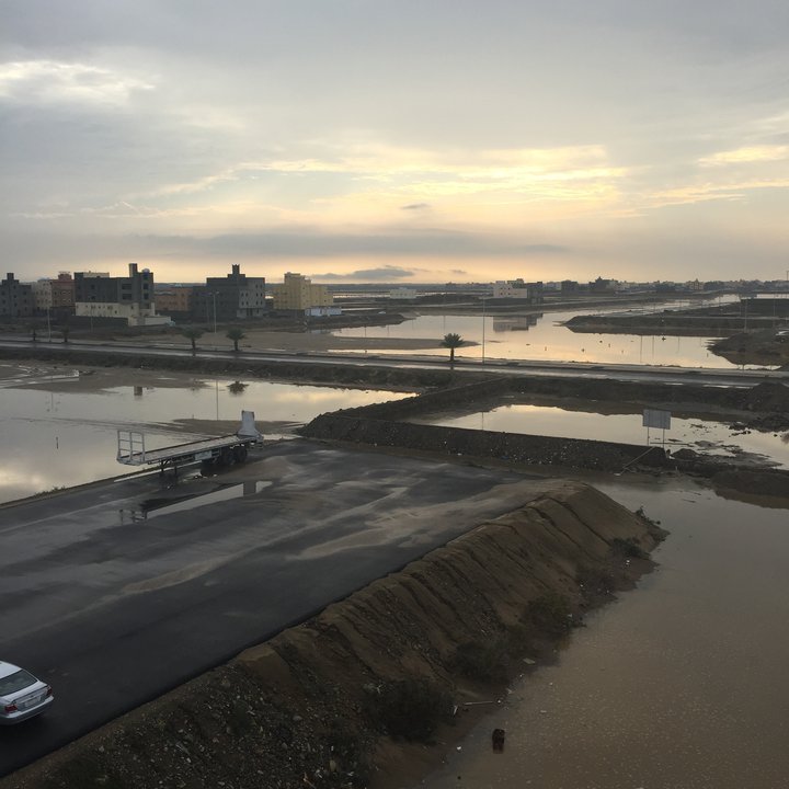 مشاركاتي في أنت الراصد