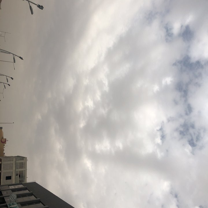 مشاركاتي في أنت الراصد