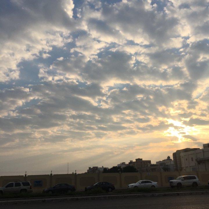 مشاركاتي في أنت الراصد