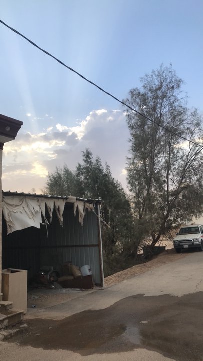 مشاركاتي في أنت الراصد