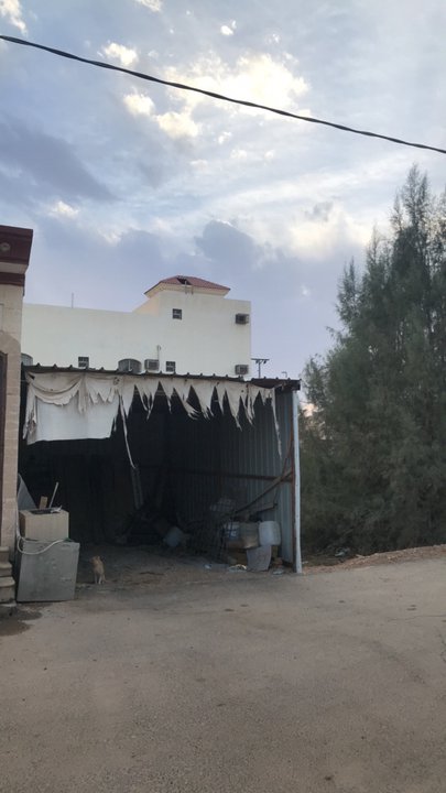 مشاركاتي في أنت الراصد