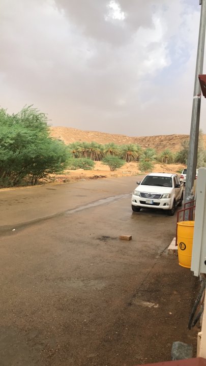 مشاركاتي في أنت الراصد