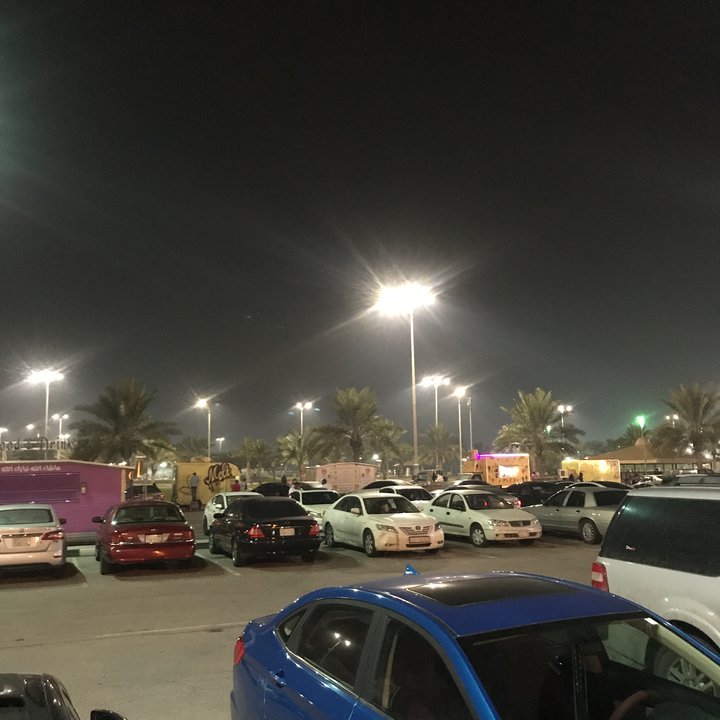 مشاركاتي في أنت الراصد