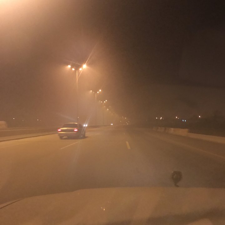 مشاركاتي في أنت الراصد