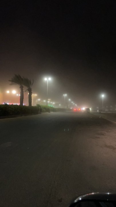 مشاركاتي في أنت الراصد