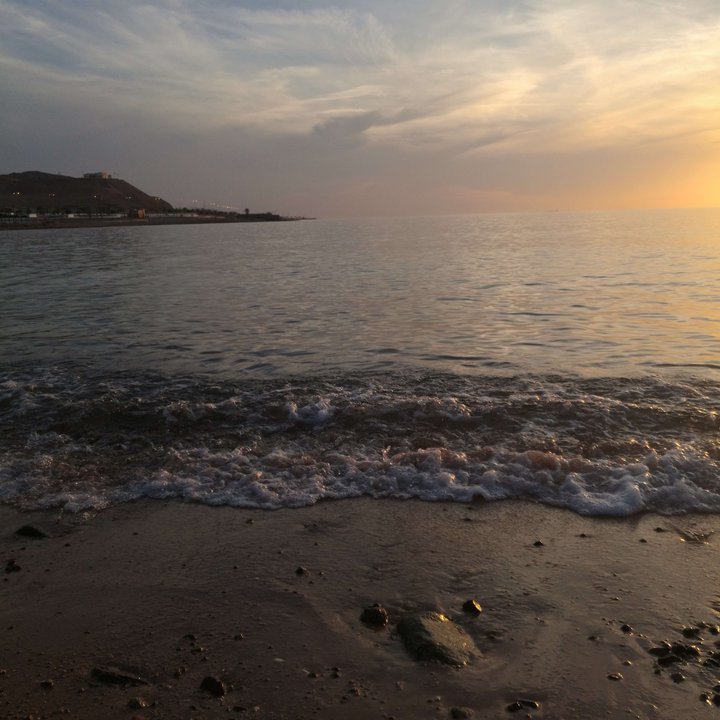 مشاركاتي في أنت الراصد