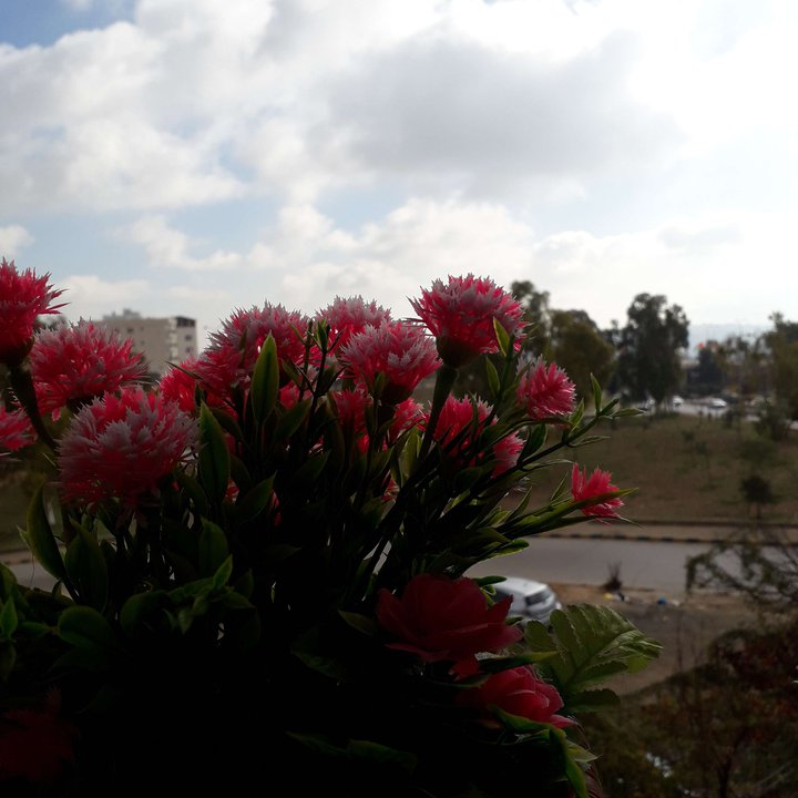 My Crowdsourcing Posts