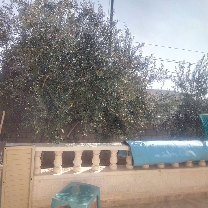 My Crowdsourcing Posts