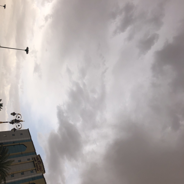 مشاركاتي في أنت الراصد