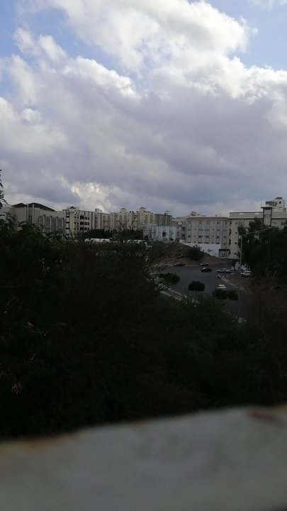 مشاركاتي في أنت الراصد