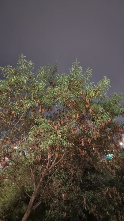 Mes publications Crowdsourcing